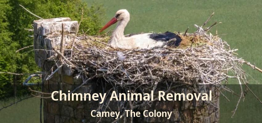 Chimney Animal Removal Camey, The Colony - TX