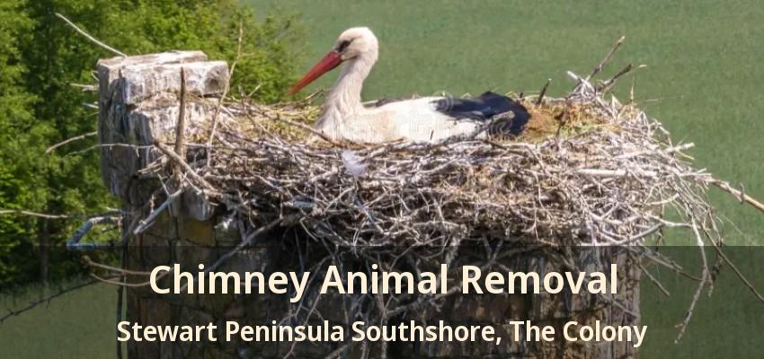 Chimney Animal Removal Stewart Peninsula Southshore, The Colony - TX