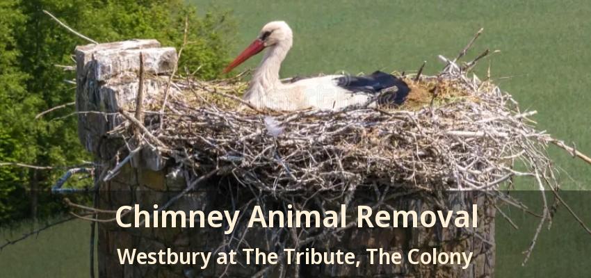 Chimney Animal Removal Westbury at The Tribute, The Colony - TX