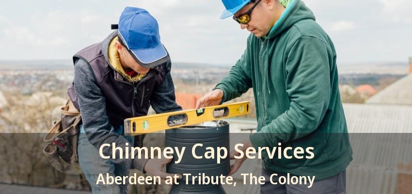Chimney Cap Services Aberdeen at Tribute, The Colony - TX