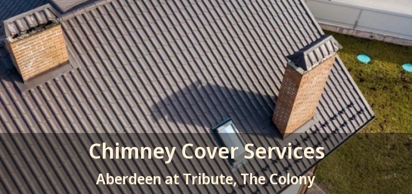 Chimney Cover Services Aberdeen at Tribute, The Colony - TX