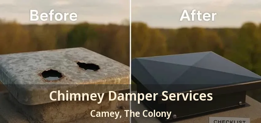 Chimney Damper Services Camey, The Colony - TX
