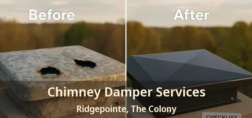 Chimney Damper Services Ridgepointe, The Colony - TX