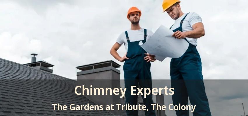 Chimney Experts The Gardens at Tribute, The Colony - TX
