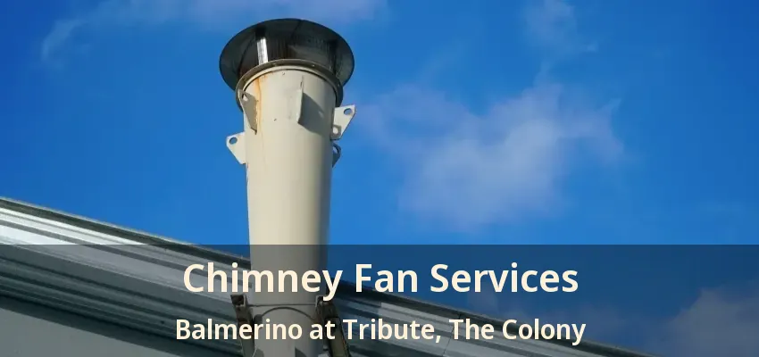 Chimney Fan Services Balmerino at Tribute, The Colony - TX