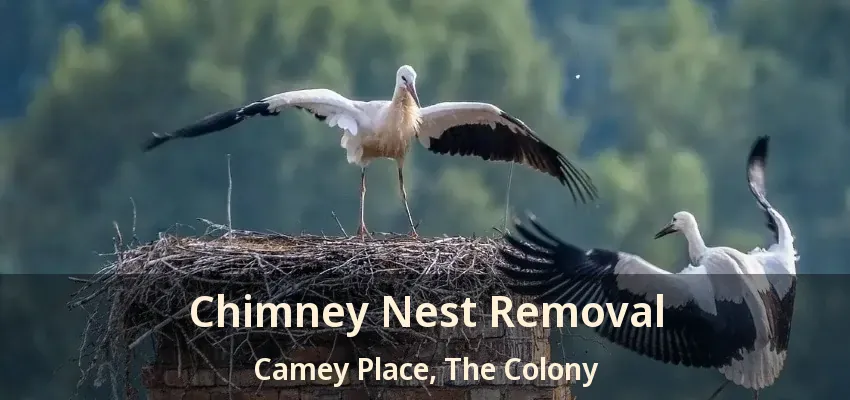 Chimney Nest Removal Camey Place, The Colony - TX