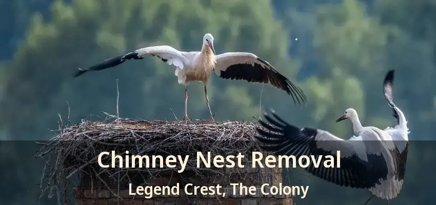 Chimney Nest Removal Legend Crest, The Colony - TX