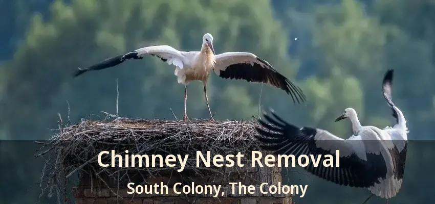 Chimney Nest Removal South Colony, The Colony - TX