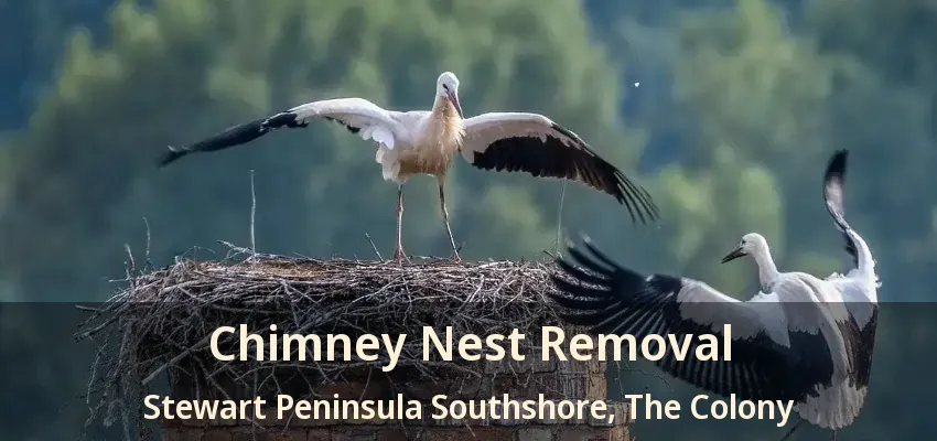Chimney Nest Removal Stewart Peninsula Southshore, The Colony - TX