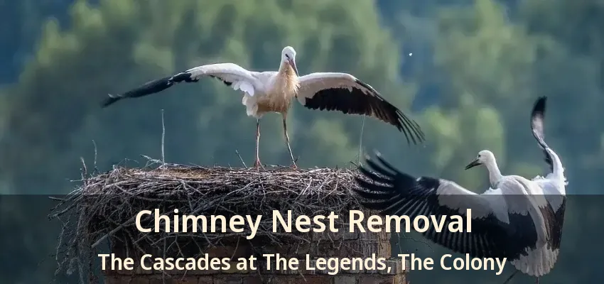 Chimney Nest Removal The Cascades at The Legends, The Colony - TX