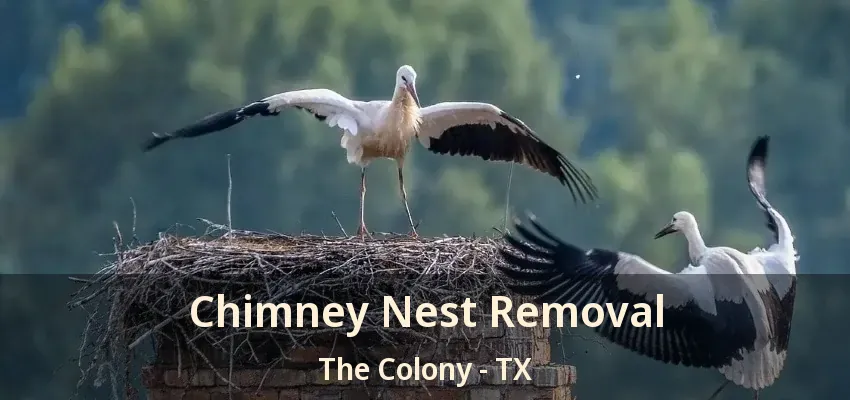 Chimney Nest Removal The Colony - TX