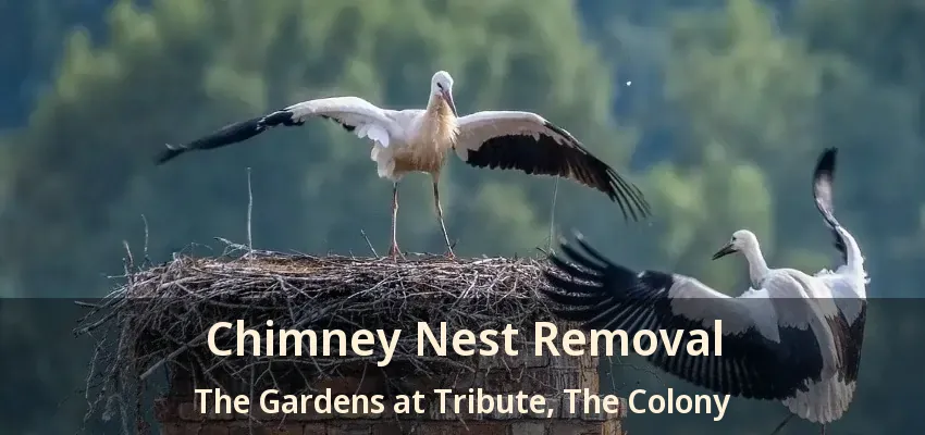 Chimney Nest Removal The Gardens at Tribute, The Colony - TX