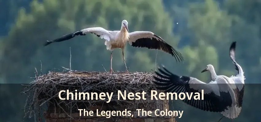 Chimney Nest Removal The Legends, The Colony - TX