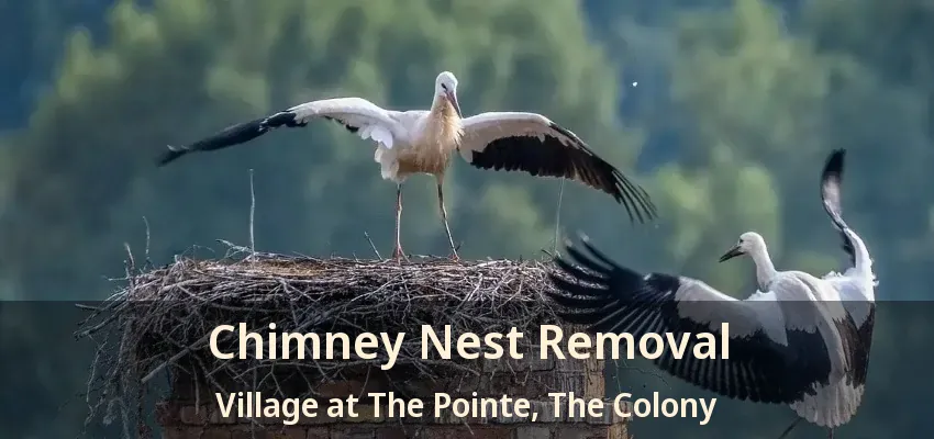 Chimney Nest Removal Village at The Pointe, The Colony - TX