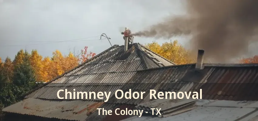 Chimney Odor Removal The Colony - TX