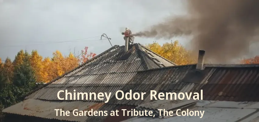 Chimney Odor Removal The Gardens at Tribute, The Colony - TX