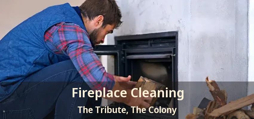 Fireplace Cleaning The Tribute, The Colony - TX