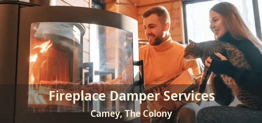 Fireplace Damper Services Camey, The Colony - TX