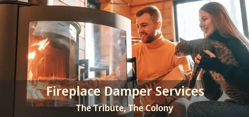 Fireplace Damper Services The Tribute, The Colony - TX