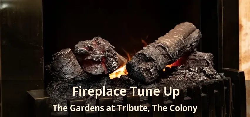Fireplace Tune Up The Gardens at Tribute, The Colony - TX
