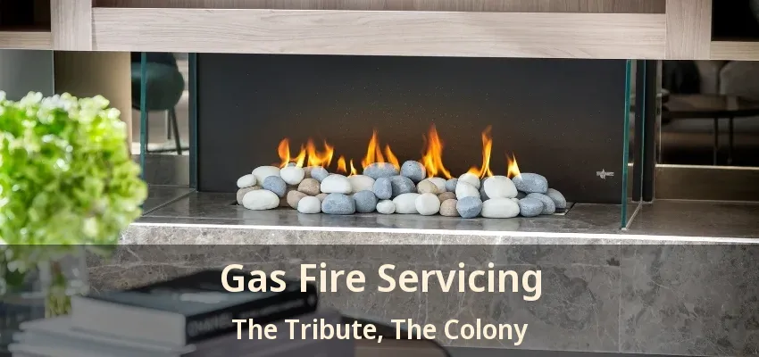 Gas Fire Servicing The Tribute, The Colony - TX
