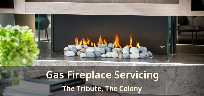 Gas Fireplace Servicing The Tribute, The Colony - TX