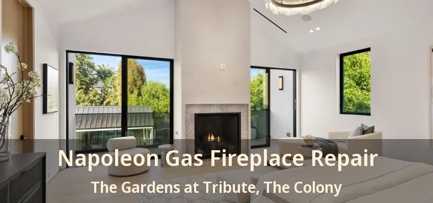 Napoleon Gas Fireplace Repair The Gardens at Tribute, The Colony - TX