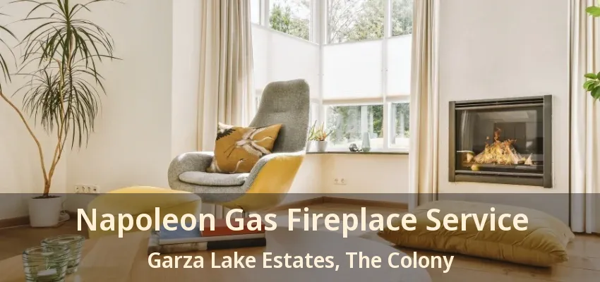 Napoleon Gas Fireplace Service Garza Lake Estates, The Colony - TX
