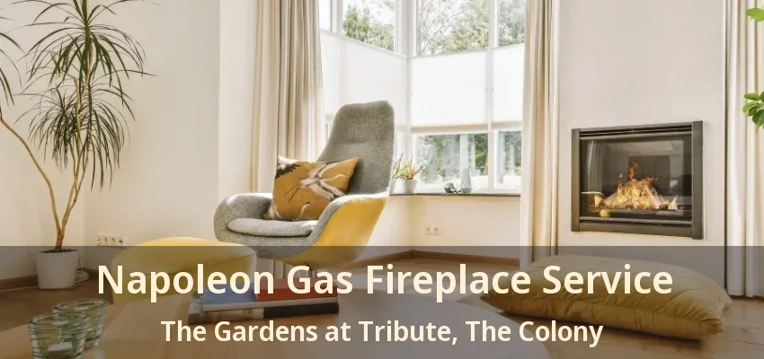 Napoleon Gas Fireplace Service The Gardens at Tribute, The Colony - TX