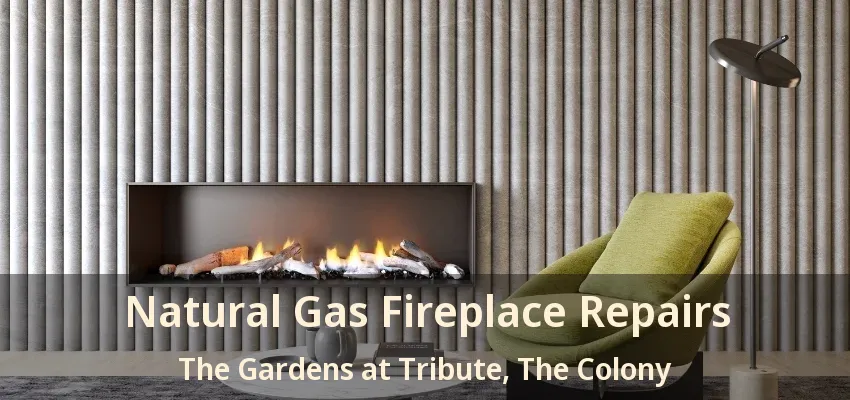 Natural Gas Fireplace Repairs The Gardens at Tribute, The Colony - TX