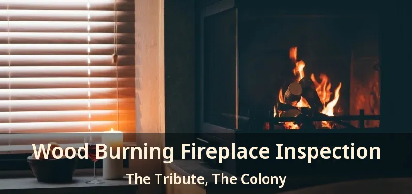 Wood Burning Fireplace Inspection The Tribute, The Colony - TX