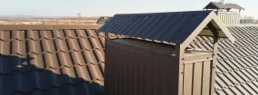 Chimney Cap Services The Colony