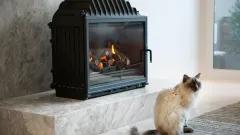 Wood Burning Fireplace Repair The Colony