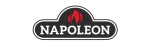 Napoleon Enviro Fireplace Repair in The Colony